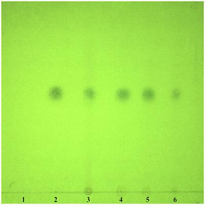 Anticoccidial Activity of Qinghao Powder Against Eimeria tenella in Broiler Chickens